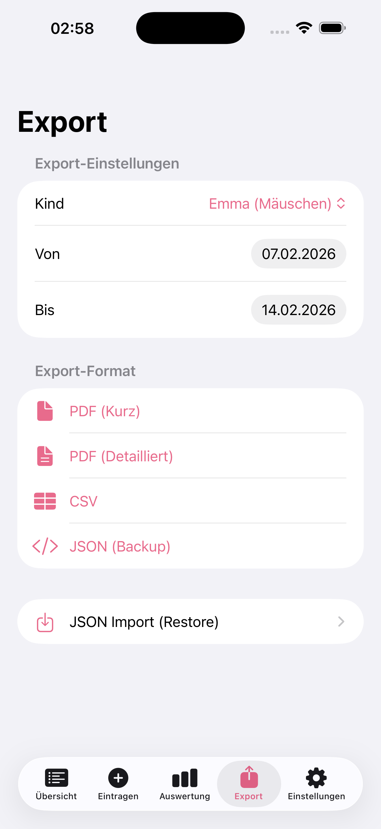 StillZeit Export – PDF, CSV, JSON